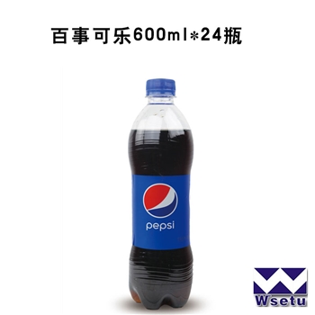 百事可乐中瓶600mL（1*24瓶）